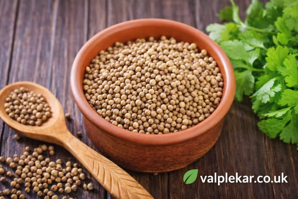 Koriandri: A Complete Guide to Its Uses, Benefits koriandri